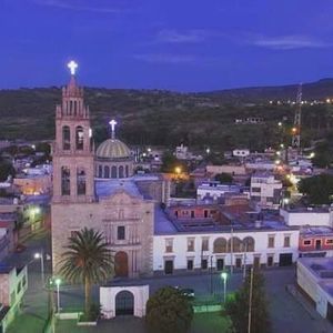 Meet your Posher, Hector